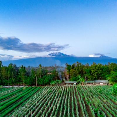 Our Farm And The View Of Mount Kili